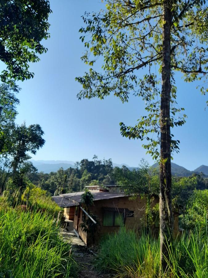 Sendero De Las Aves Міндо Екстер'єр фото