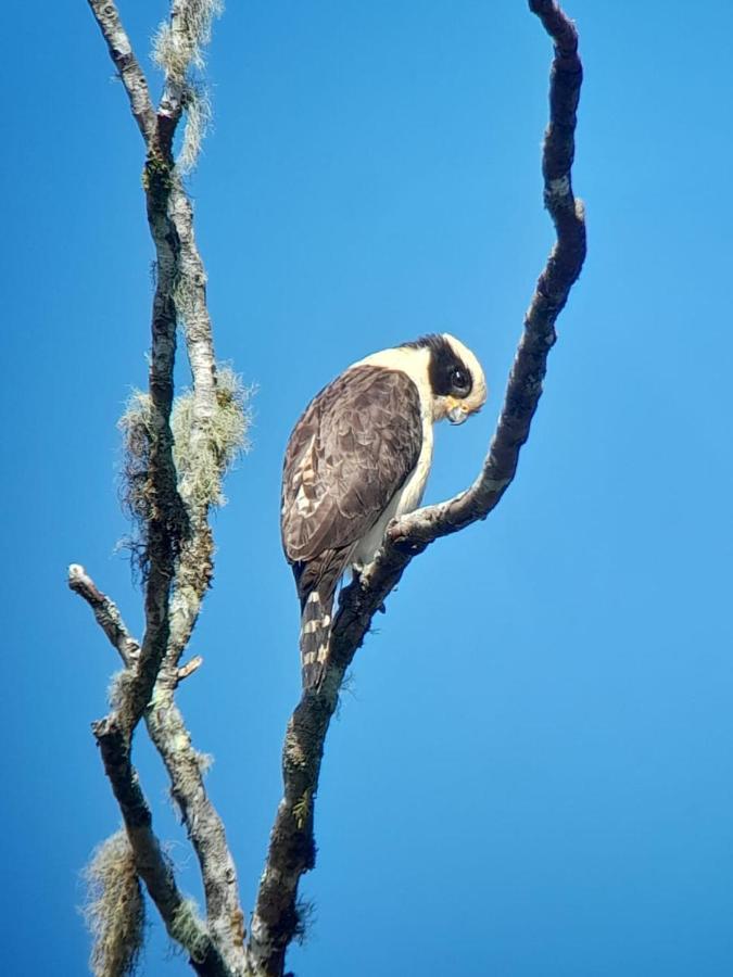 Sendero De Las Aves Міндо Екстер'єр фото
