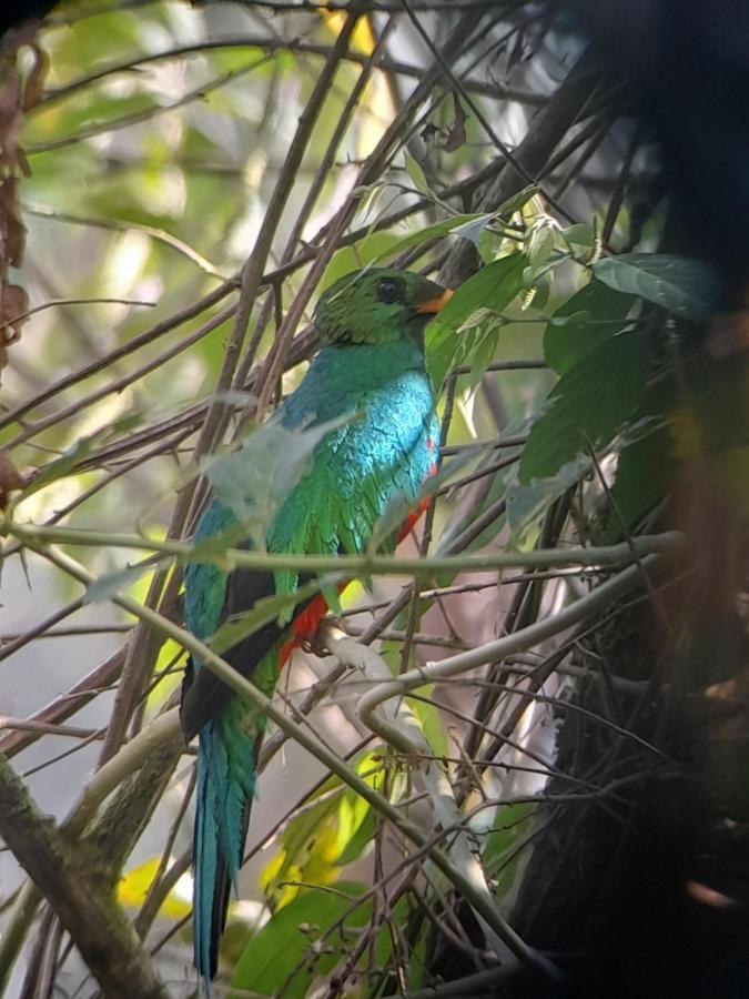 Sendero De Las Aves Міндо Екстер'єр фото