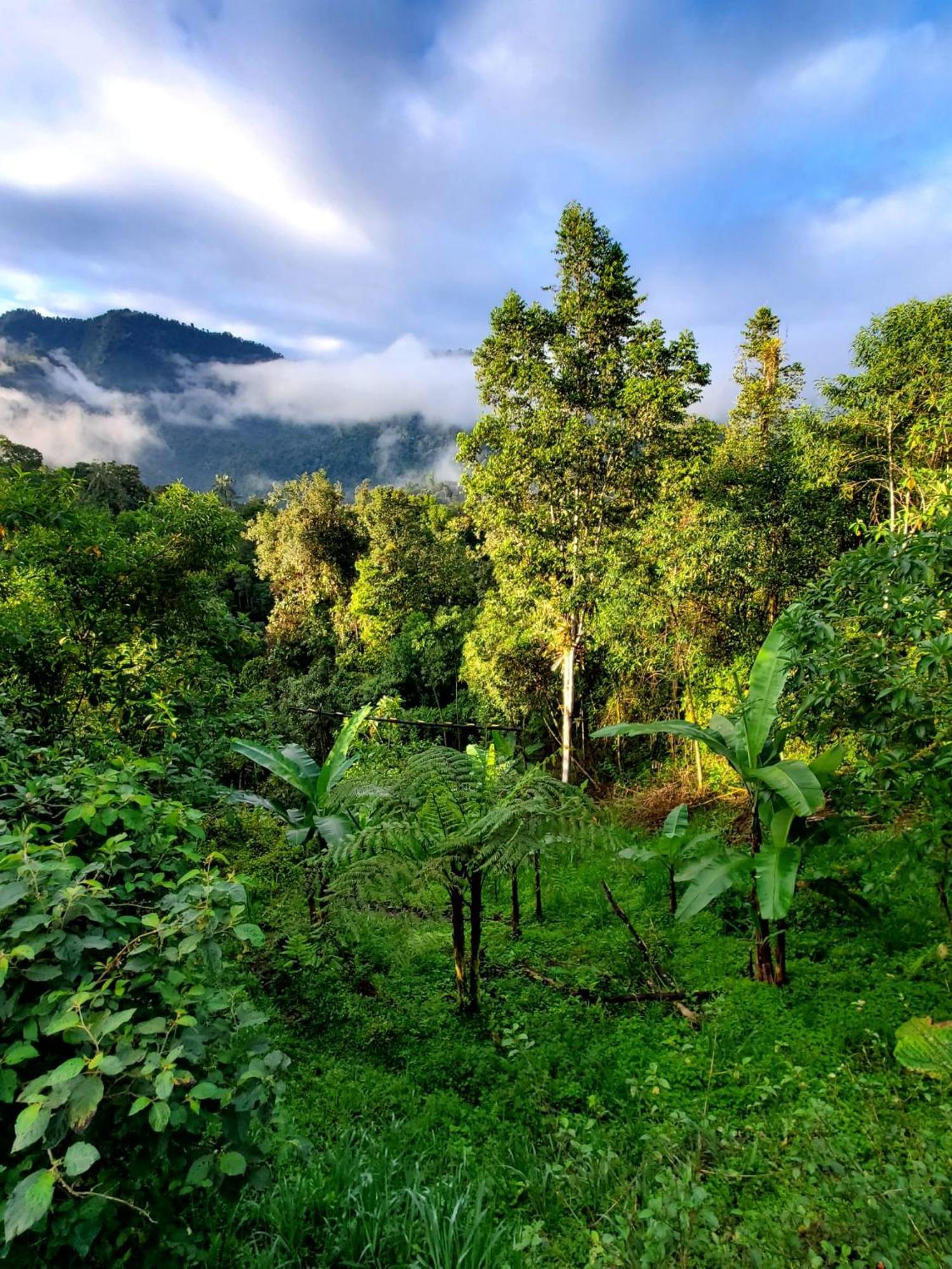 Sendero De Las Aves Міндо Екстер'єр фото