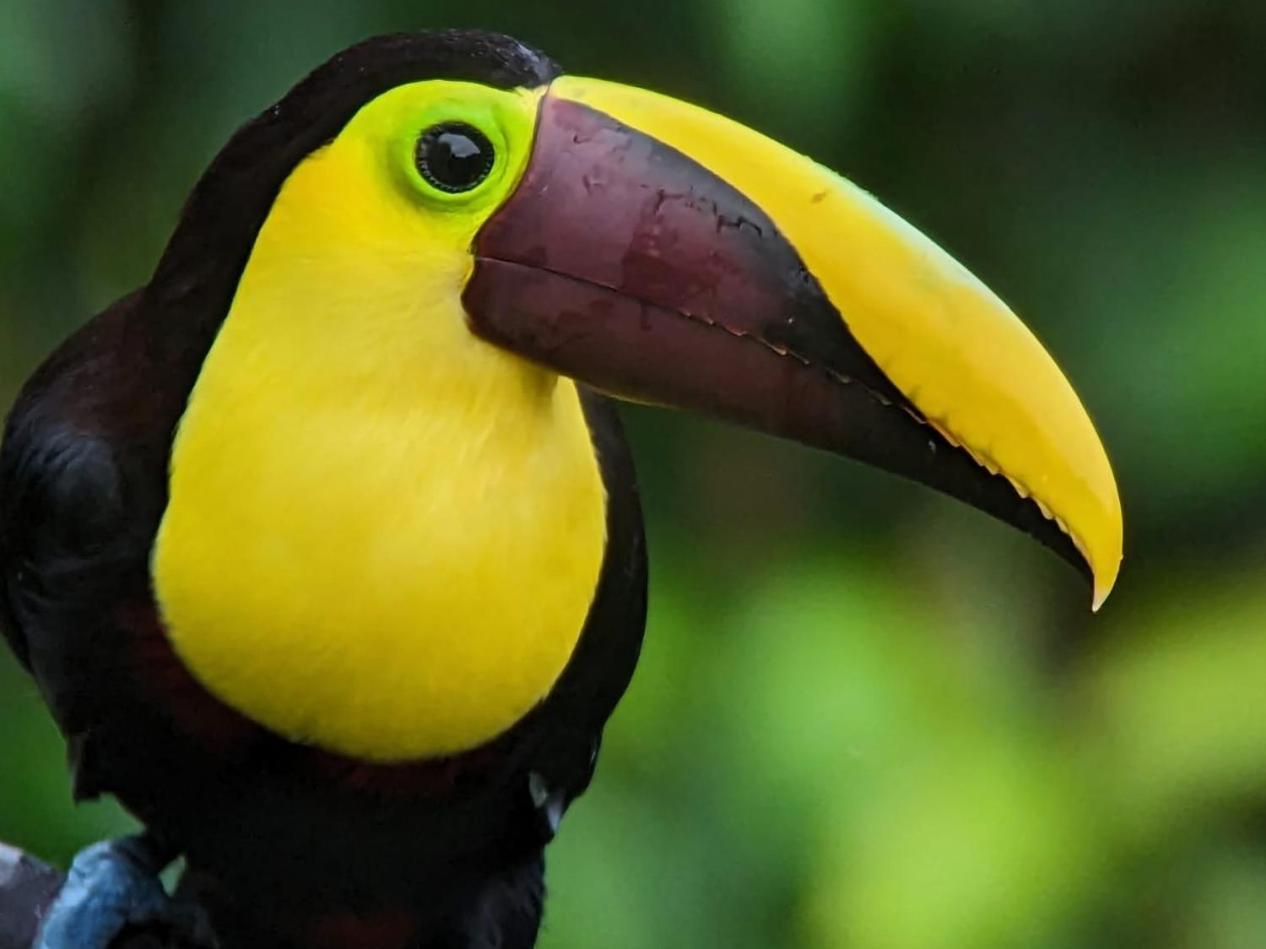 Sendero De Las Aves Міндо Екстер'єр фото